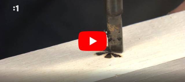 Mikronáradie - Horáky